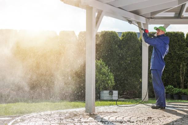 Best Gutter Cleaning and Brightening in Carol Stream, IL