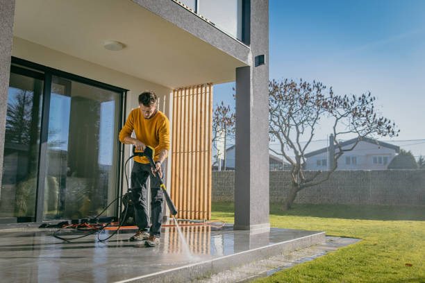 Best Roof Cleaning and Mildew Removal in Carol Stream, IL